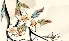 许姓的好听名字女孩