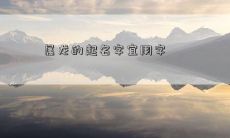 属龙的起名字宜用字