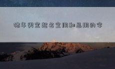 猪年男宝起名宜用和忌用的字