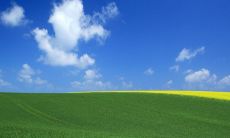 2019猪年出生的咸姓男孩怎么样起名字 姓咸男孩好名推荐