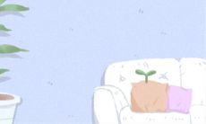 时姓取名起名大全