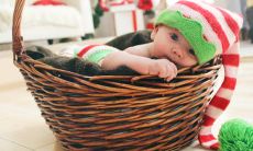 2019年4月出生的猪宝宝起名大全