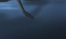 冉姓取名 冉姓名字大全