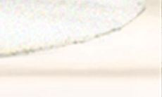 新公司如何起名字