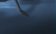 张姓氏取名起名大全