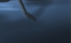 强姓取名起名大全