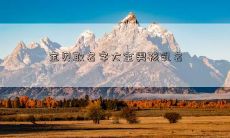 宝贝取名字大全男孩乳名