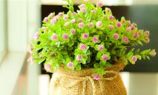 姓名三才数理配置吉凶表详解