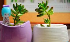 什么是姓名五格三才配置