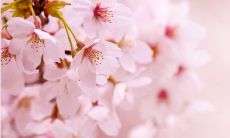 震为雷卦看男女关系 震为雷卦可以预示哪些事