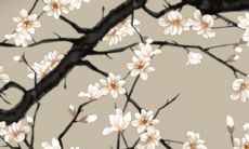 2023年兔属水还是金