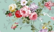 请问2023年属什么猪