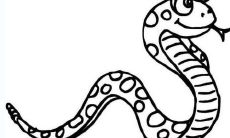 蛇宝宝和什么属相父母好 蛇宝宝忌什么属相的父母