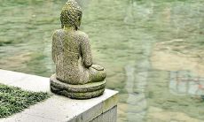 梦见自己掉牙齿流血