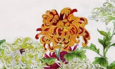 日本好听的名字男生