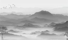 属兔人2023年全年运程