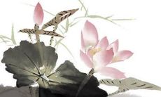 女用微信名字好听的