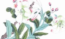 属羊2022感情运势婚姻