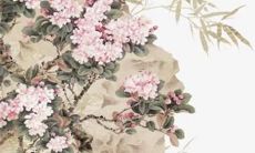 2022年74年属虎的全年运势男性