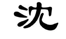 沈姓有寓意的男孩子名字