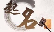 根据生辰八字取名