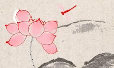 属兔本命年什么讲究