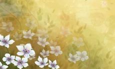 骨科好听的品管圈名字