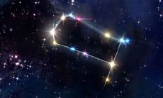 上升双子座的性格怎么样 性格多变反应灵敏