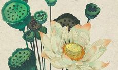 属兔的2023本命年