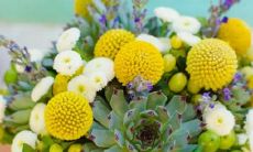 12星座各表示什么妖怪