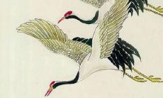 处女座配对，处女座配对指数