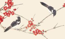 2023年属兔的女宝小名