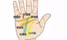 生命线分叉成人字形 生命线分叉图解