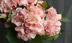 专注打脸三十年，看这些星座在质疑声中成功逆袭