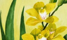 74年虎男和86年虎女配吗