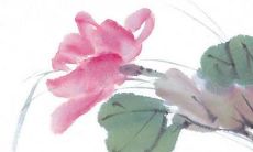 2022年属虎男孩小名