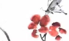 母猫好听的英文名字