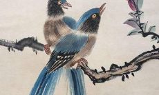 2023太岁福袋用法