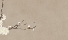 属鼠处女座2023年每月运势