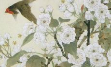 兔本命年能动试吗