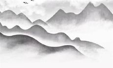 2023年属兔适合的字