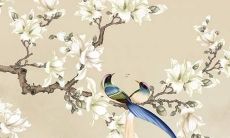 好听的贵宾犬名字