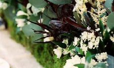 巨蟹座与摩羯座配对