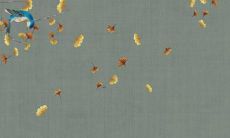 属兔2023几月份生最好