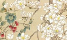 2023年的属猴运势