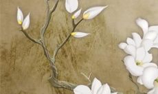 十二星座狮子座最什么