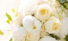 2022年整体运势最好的三个星座 福星高照好运连连