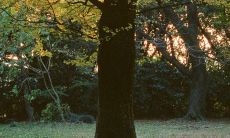 2022年天秤座的运势 天秤的事业、爱情与财运