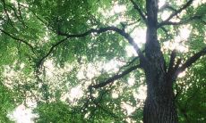 2022年水瓶座的运势 水瓶的事业、爱情与财运