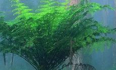 2022年双子座的运势 双子的事业、爱情与财运